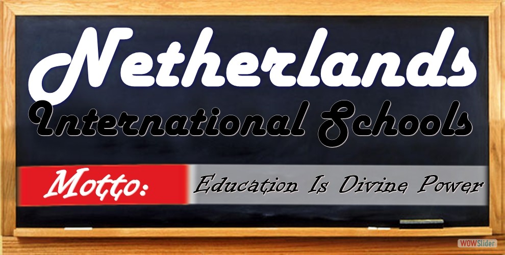 Netherlands International Schools   Ws Green Gradient Background 2560x1600 